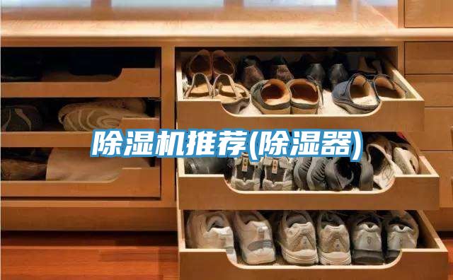 草莓污视频在线看推薦(除濕器)