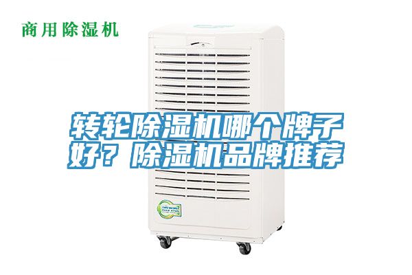 轉輪草莓污视频在线看哪個牌子好？草莓污视频在线看品牌推薦