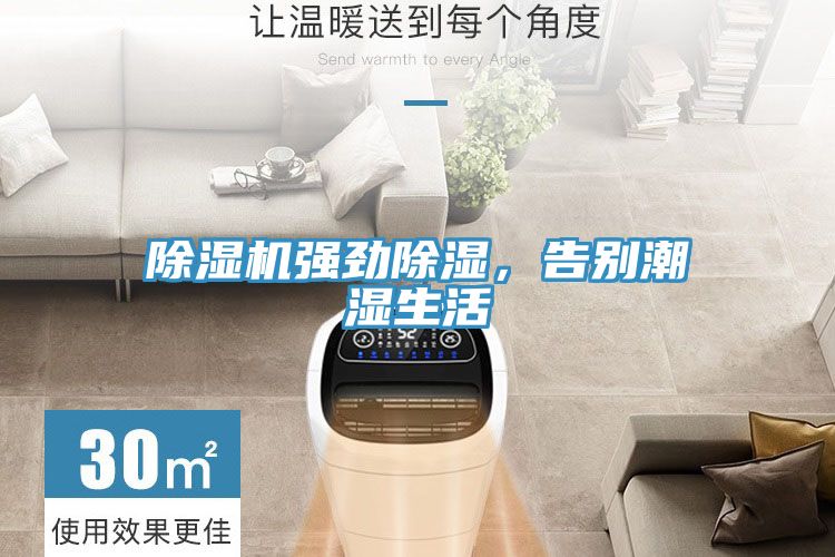 草莓污视频在线看強勁除濕，告別潮濕生活