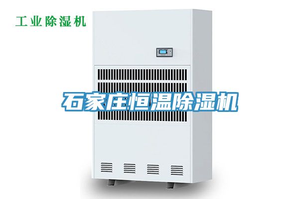 石家莊恒溫草莓污视频在线看