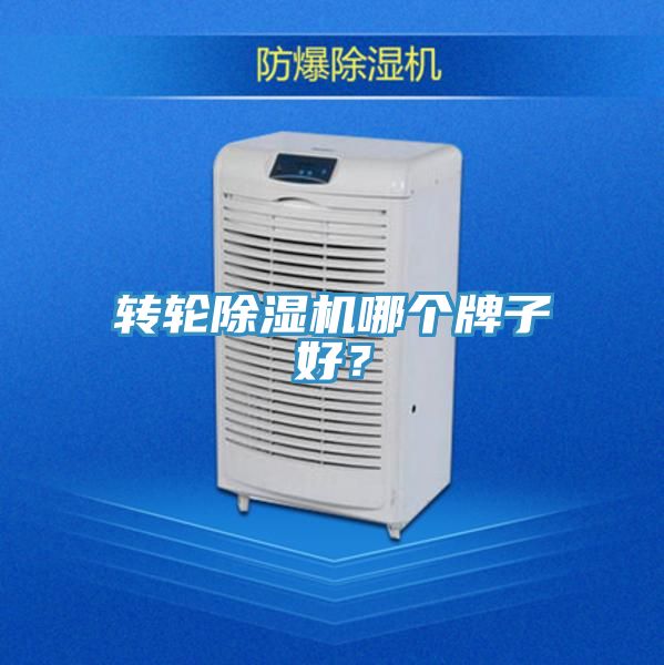 轉輪草莓污视频在线看哪個牌子好？