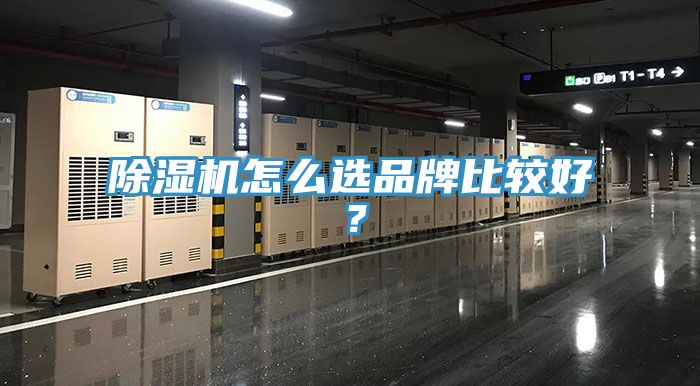 草莓污视频在线看怎麽選品牌比較好？