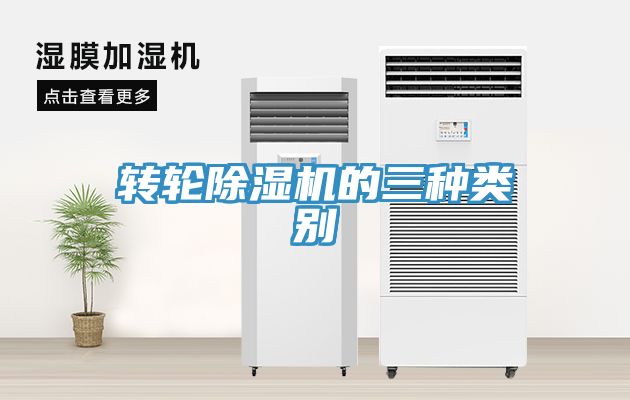 轉輪草莓污视频在线看的三種類別