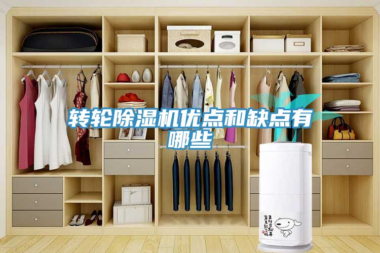 轉輪草莓污视频在线看優點和缺點有哪些