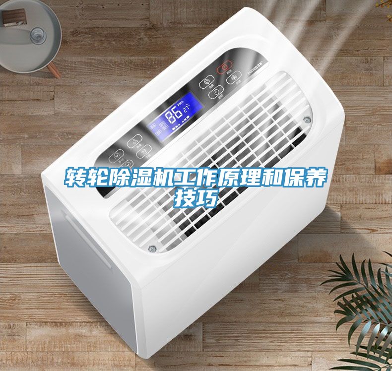 轉輪草莓污视频在线看工作原理和保養技巧