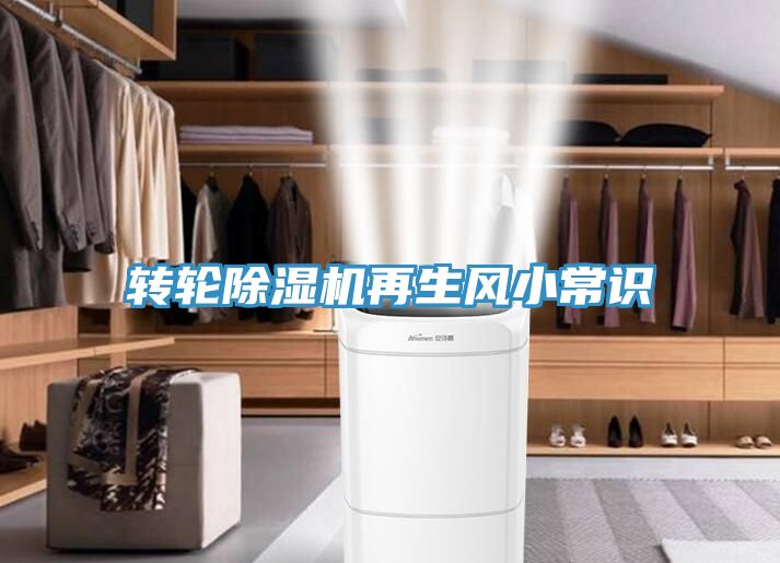 轉輪草莓污视频在线看再生風小常識