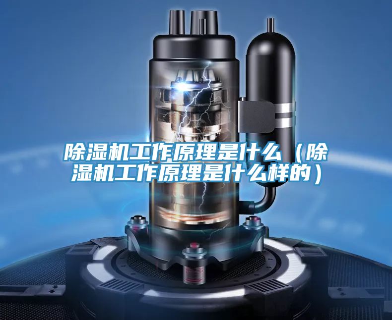 草莓污视频在线看工作原理是什麽（草莓污视频在线看工作原理是什麽樣的）