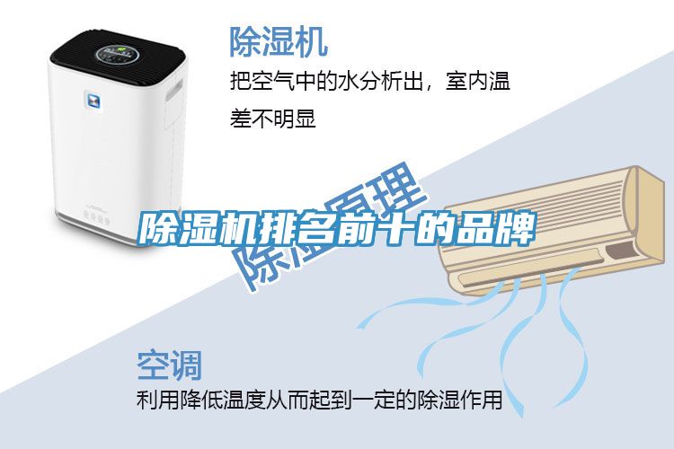 草莓污视频在线看排名前十的品牌
