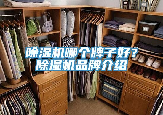 草莓污视频在线看哪個牌子好？草莓污视频在线看品牌介紹