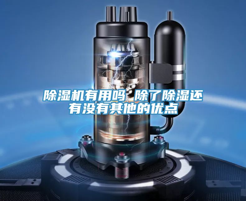 草莓污视频在线看有用嗎 除了除濕還有沒有其他的優點