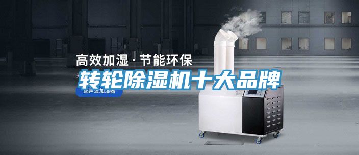 轉輪草莓污视频在线看十大品牌