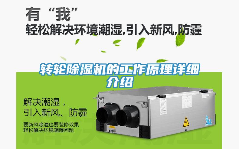 轉輪草莓污视频在线看的工作原理詳細介紹