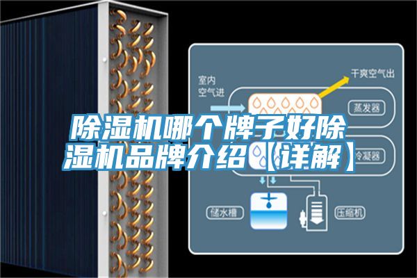 草莓污视频在线看哪個牌子好草莓污视频在线看品牌介紹【詳解】
