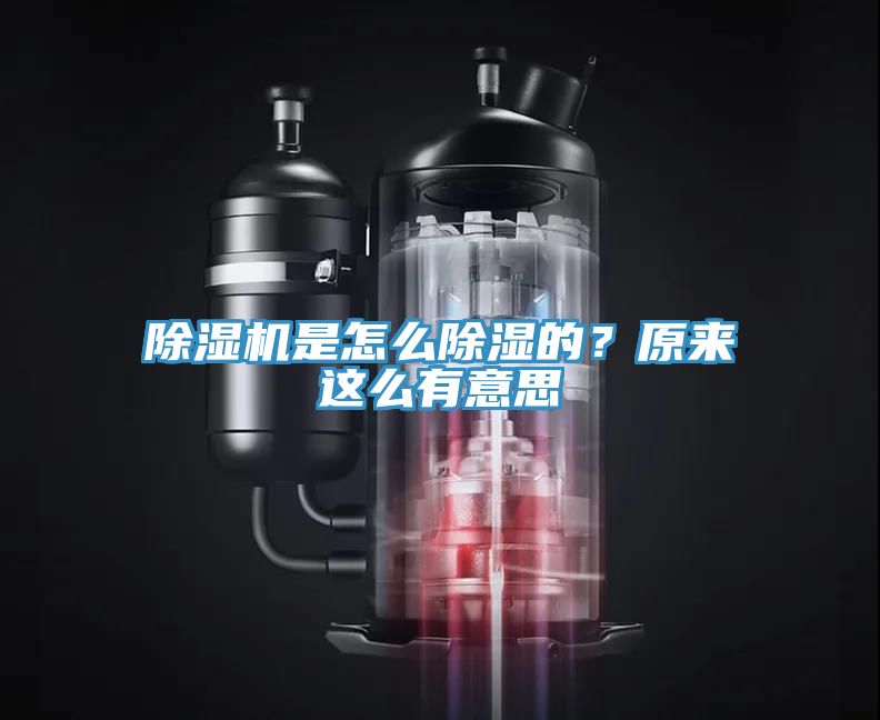 草莓污视频在线看是怎麽除濕的？原來這麽有意思