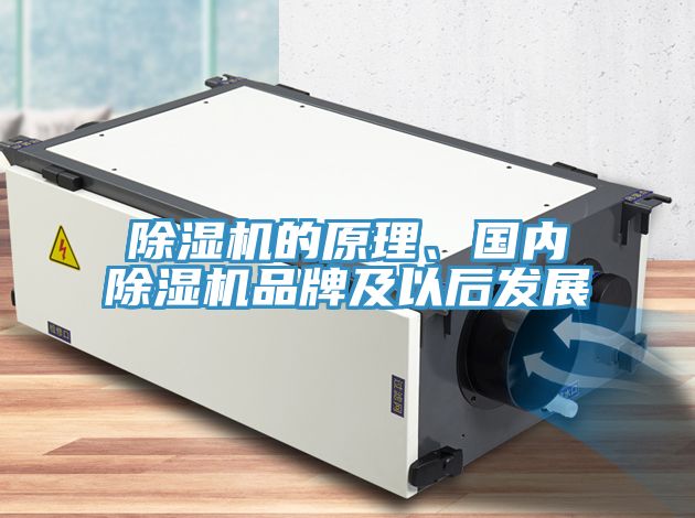草莓污视频在线看的原理、國內草莓污视频在线看品牌及以後發展