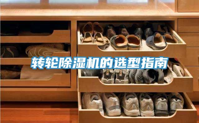 轉輪草莓污视频在线看的選型指南