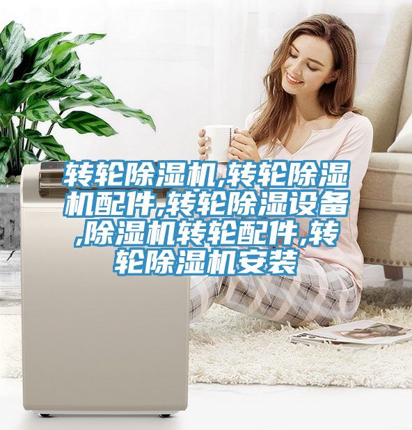 轉輪草莓污视频在线看,轉輪草莓污视频在线看配件,轉輪除濕設備,草莓污视频在线看轉輪配件,轉輪草莓污视频在线看安裝