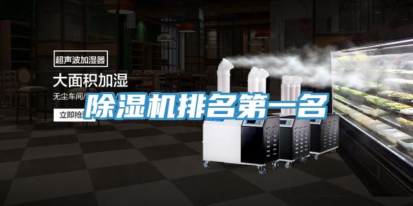 草莓污视频在线看排名第一名