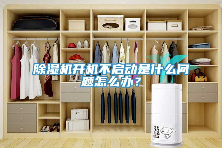 草莓污视频在线看開機不啟動是什麽問題怎麽辦？