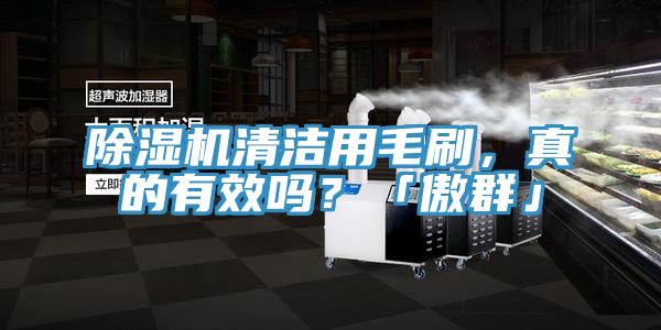 草莓污视频在线看清潔用毛刷，真的有效嗎？「傲群」