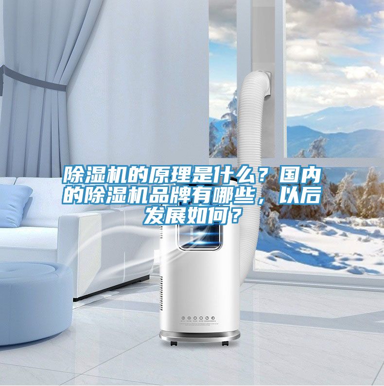 草莓污视频在线看的原理是什麽？國內的草莓污视频在线看品牌有哪些，以後發展如何？