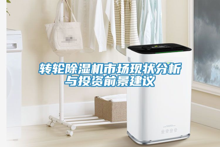 轉輪草莓污视频在线看市場現狀分析與投資前景建議