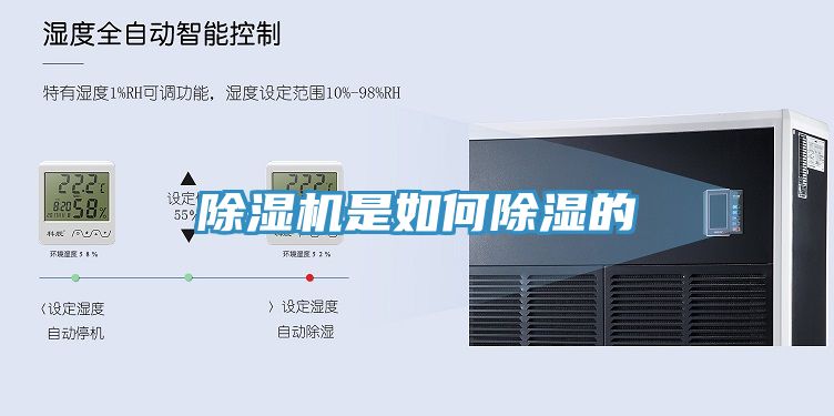 草莓污视频在线看是如何除濕的