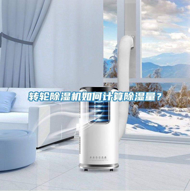轉輪草莓污视频在线看如何計算除濕量？