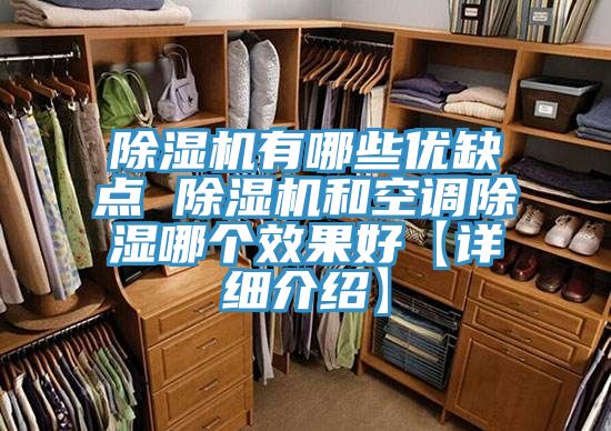 草莓污视频在线看有哪些優缺點 草莓污视频在线看和空調除濕哪個效果好【詳細介紹】