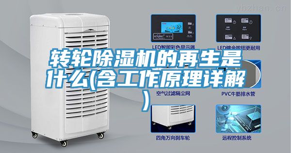轉輪草莓污视频在线看的再生是什麽(含工作原理詳解)