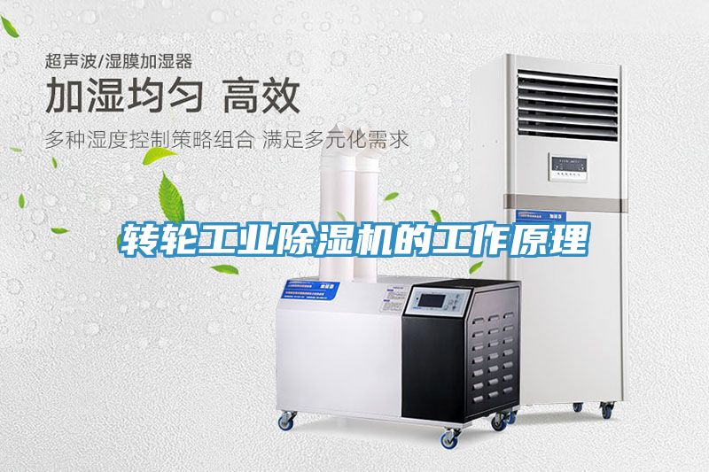 轉輪工業草莓污视频在线看的工作原理