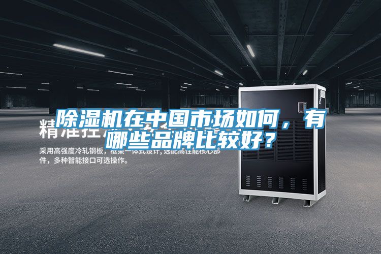 草莓污视频在线看在中國市場如何，有哪些品牌比較好？