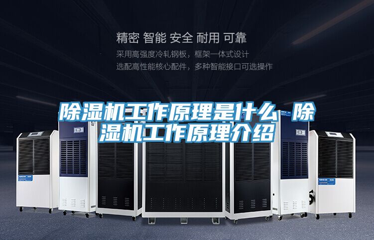 草莓污视频在线看工作原理是什麽 草莓污视频在线看工作原理介紹