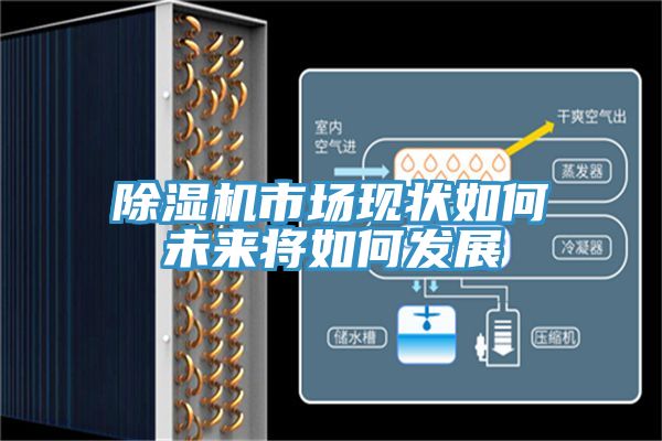 草莓污视频在线看市場現狀如何未來將如何發展