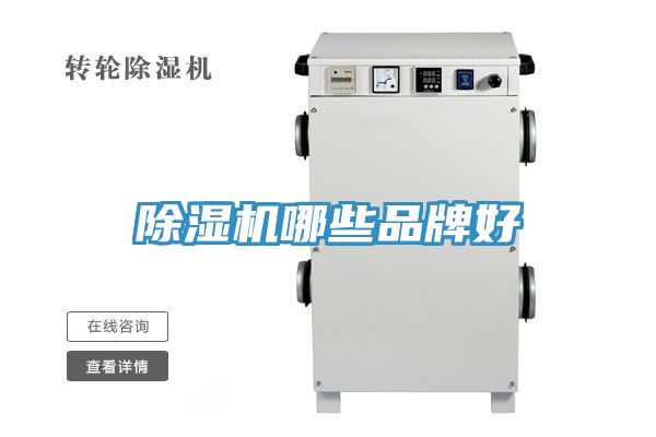 草莓污视频在线看哪些品牌好
