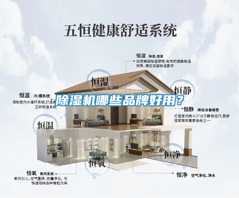 草莓污视频在线看哪些品牌好用？