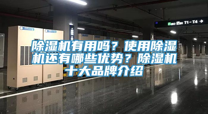 草莓污视频在线看有用嗎？使用草莓污视频在线看還有哪些優勢？草莓污视频在线看十大品牌介紹