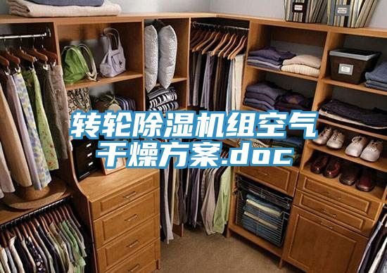 轉輪草莓污视频在线看組空氣幹燥方案.doc