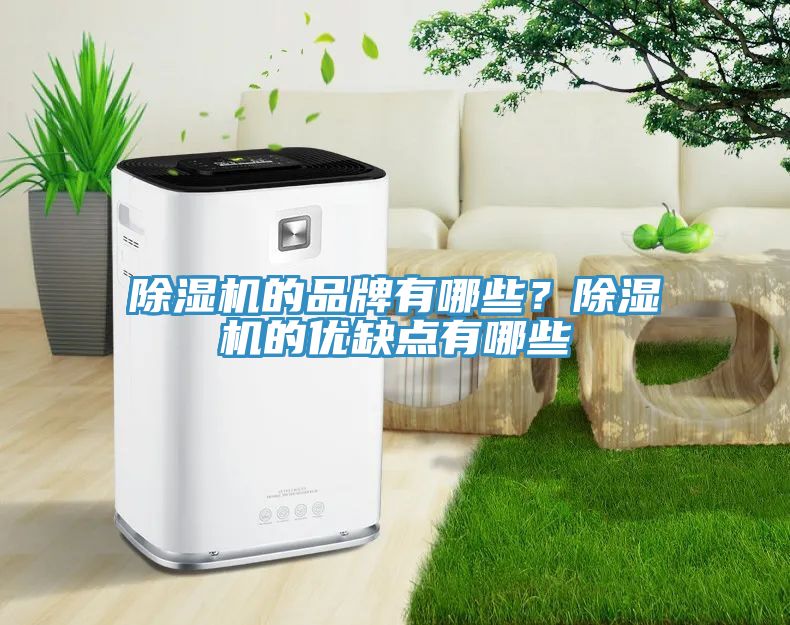 草莓污视频在线看的品牌有哪些？草莓污视频在线看的優缺點有哪些