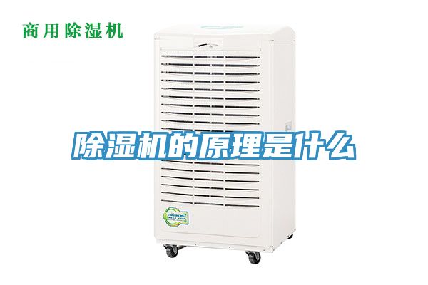 草莓污视频在线看的原理是什麽