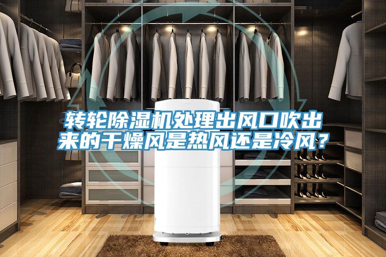 轉輪草莓污视频在线看處理出風口吹出來的幹燥風是熱風還是冷風？