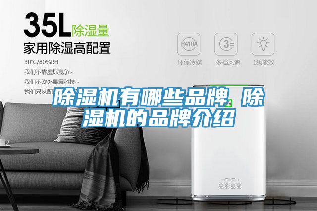 草莓污视频在线看有哪些品牌 草莓污视频在线看的品牌介紹