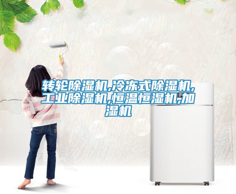 轉輪草莓污视频在线看,冷凍式草莓污视频在线看,工業草莓污视频在线看,恒溫恒濕機,加濕機