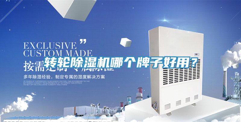 轉輪草莓污视频在线看哪個牌子好用？