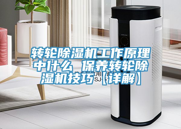 轉輪草莓污视频在线看工作原理中什麽 保養轉輪草莓污视频在线看技巧【詳解】