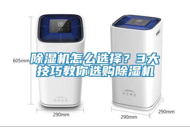 草莓污视频在线看怎麽選擇？3大技巧教你選購草莓污视频在线看