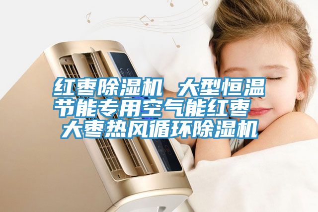 紅棗草莓污视频在线看 大型恒溫節能專用空氣能紅棗 大棗熱風循環草莓污视频在线看