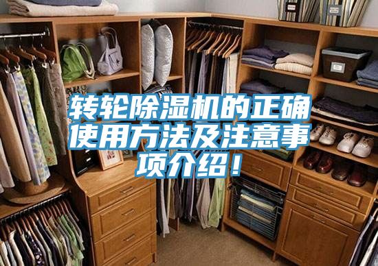 轉輪草莓污视频在线看的正確使用方法及注意事項介紹！