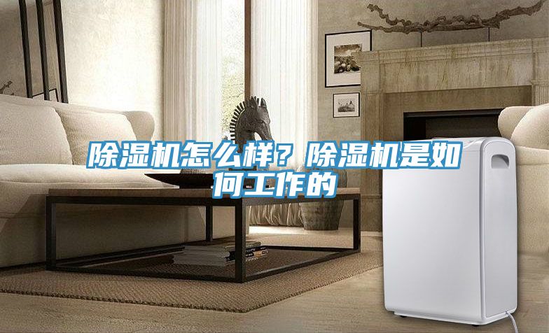 草莓污视频在线看怎麽樣？草莓污视频在线看是如何工作的