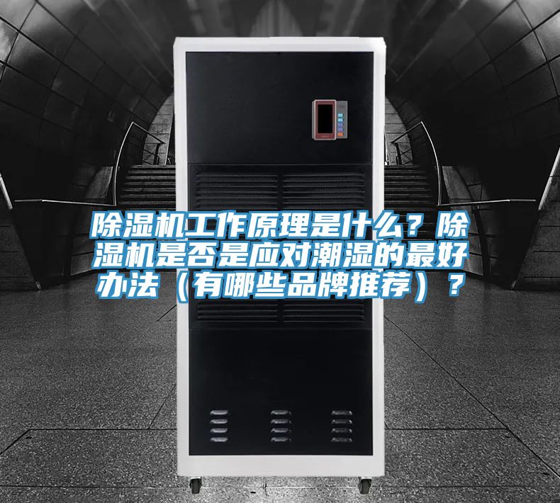 草莓污视频在线看工作原理是什麽？草莓污视频在线看是否是應對潮濕的最好辦法（有哪些品牌推薦）？